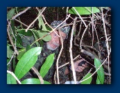 Peter in situ @ Station B